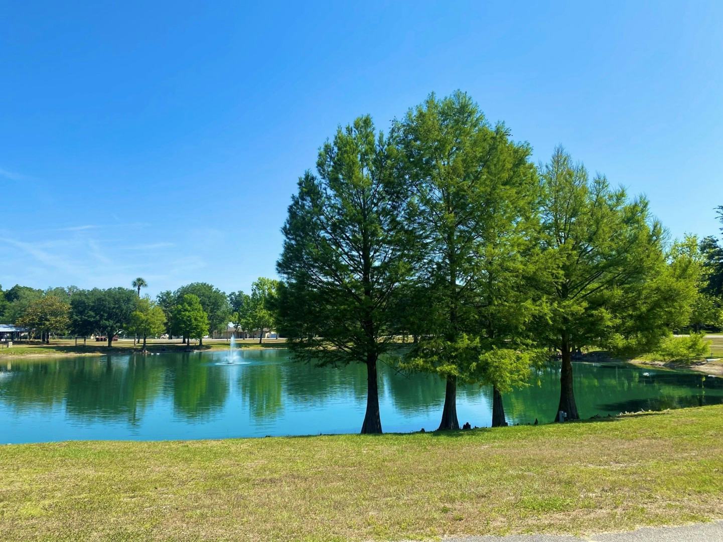 Lake Lillian in Belleview, Florida